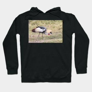 Red-Crowned Crane Hoodie